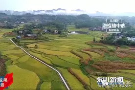 永川这5个村1个镇榜上有名！图片