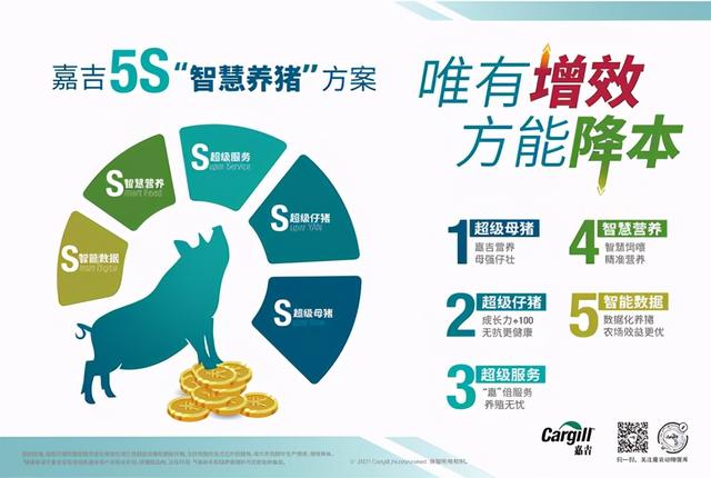 提升母猪生产成绩，嘉吉5S“智慧养猪”方案助力养户“增效降本”
