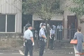 谭松韵妈妈被撞案：肇事司机负全责，被指涉毒驾图片