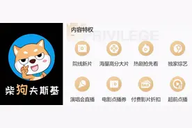 视频网站做个人吧，不要再搞VVIP,SVIP,SSVIP图片