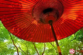 侘寂、空蝉、月之雫是什么意思？一起认识10个诗意日文词图片