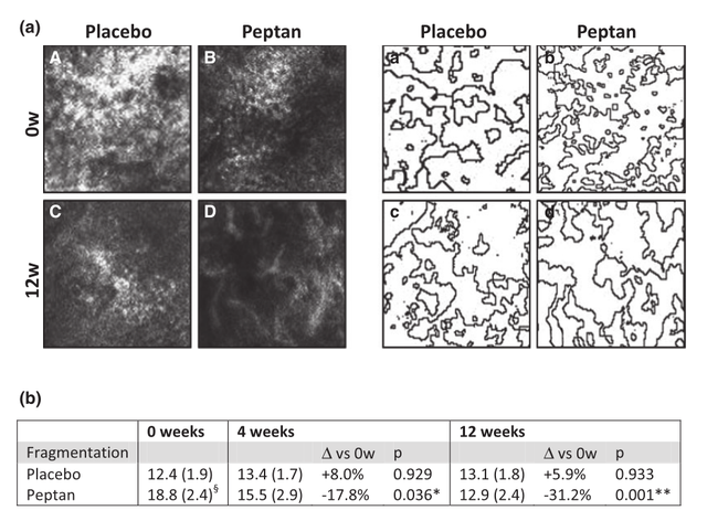 胶原蛋白是“智商税”吗？我不这么认为