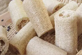 丝瓜可以用来洗碗这件事，你什么时候知道的？图片