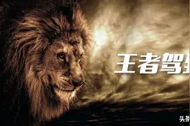 东三环、全球前三SCDA作品、单价25000的河景小高层王者驾到图片