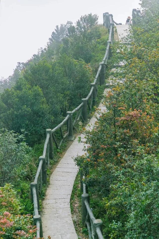 深圳值得征服的10座山，你去过几座？