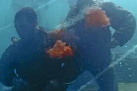 枪战时躲在水里能保命？骗小白的，别上当图片