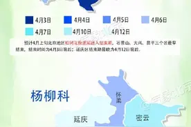 4月上旬柏树和杨树花粉逐渐进入结束期，另有其他散粉来袭图片