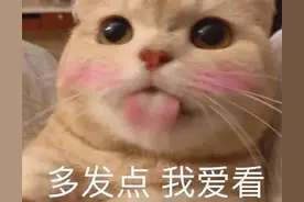 表情包：多发点，我爱看图片
