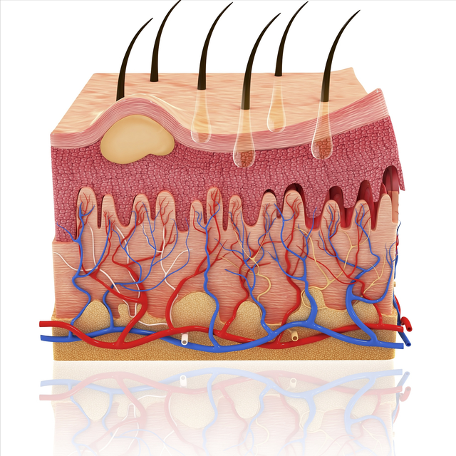 鐢ㄤ粈涔堟礂闈㈠ザ鑳芥帶娌圭鐥橈紵涓嶅Θ璇曡瘯杩欐姘ㄥ熀閰告磥闈㈡厱鏂? onerror=