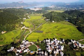 镇委书记在干啥⑨ | 郁南建城镇：聚力“一区一带一游” 探索功能互补发展新路子图片