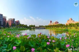 除了郑大河大，哪些河南高校的王牌专业值得报？｜豫记图片