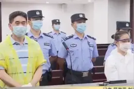 百亿老总猥亵9岁幼女判5年，请天价律师申请无罪，网友：5年都轻图片