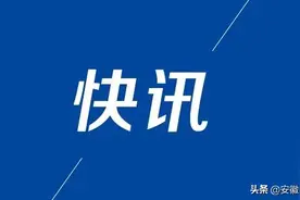 合肥这个区选调120名中小学教师！图片