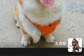 王思聪为河南捐款500万，并且表示没有点评吴亦凡，谣言图片