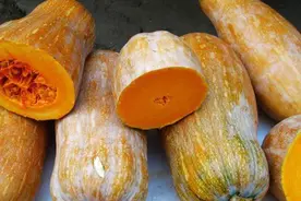 买南瓜时，记得挑老的，学会4个小技巧，回回挑到最甜最糯的南瓜图片