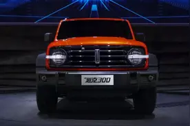 2020年最“成功”的5款国产车图片