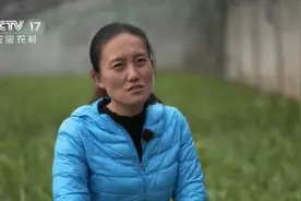 女博士下乡种菜，10多年不用农药化肥，实现“食在当地 食在当季”图片