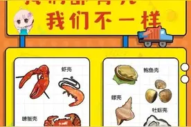 垃圾分类 | 垃圾怎么分类？生活中易混淆的垃圾我们都整理好了！图片