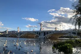 酒驾带走了爸爸妈妈，杀猪匠姑父把我们接到了身边图片