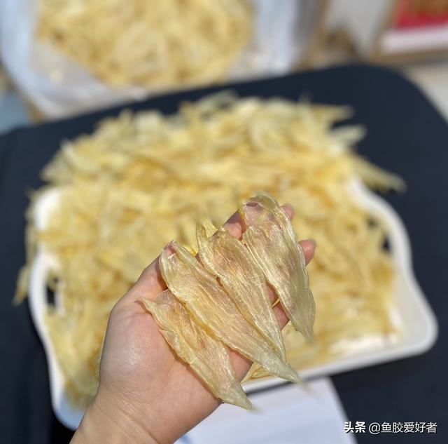 北海双背鱼胶的功效 2026年双背鱼胶是北海鱼胶吗