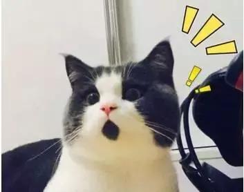 这批奶粉被紧急召回，消息一出爸妈们不淡定了！