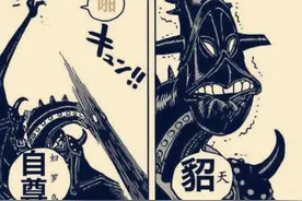 路飞吃的是超人系橡胶果实？不，是动物系神之果实图片