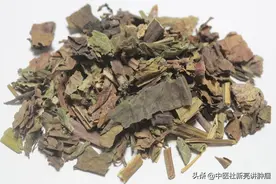 抗癌中药石见穿，清热解毒、活血止痛，常用于治疗癌性疼痛图片