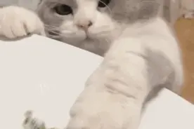 表情包|暗示！嘴巴有点干干的！！！图片