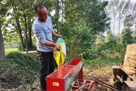 小麦拌种后，来年不用喷农药？很多农户不相信，农业专家帮你分析图片