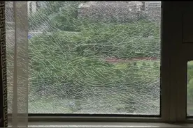 嘉定一小区高层玻璃突然爆裂，出现这些异常情况要注意→图片