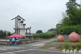 宁波奉化水蜜桃早熟品种已甜蜜上市，口感更好的要再等三五天图片