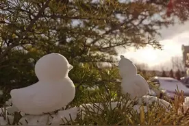 遇见哈工大（威海）的冬天：这场雪，姿态万千图片
