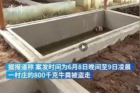 印度一村庄800公斤牛粪失窃 此前有人通过涂抹牛粪抗疫图片