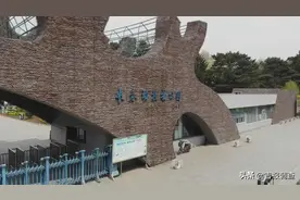 长春动植物公园的前世今生图片