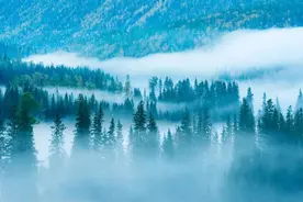 笔记｜有所敬畏图片