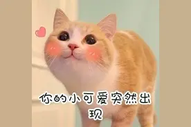 【检花来了】和黄小明一起学习《民法典》——见义勇为造成施救者自身财物损失怎么办？图片