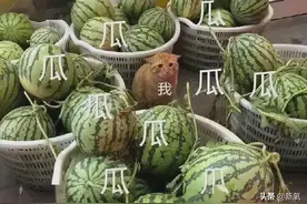 Lisa造型又翻车了？这熬夜脸都看不出是97年的图片