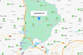成都龙池自然保护区下暴雪了，山里猕猴都成群出来觅食，太可爱图片