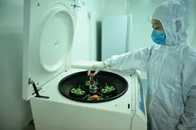 科幻片里的场景来了！带你探秘高新区这家细胞储存企业图片