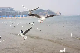 秦皇岛北戴河图片