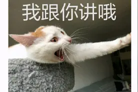 令人头大！青岛地铁上，母子俩边吃边扔，劝都劝不住......图片