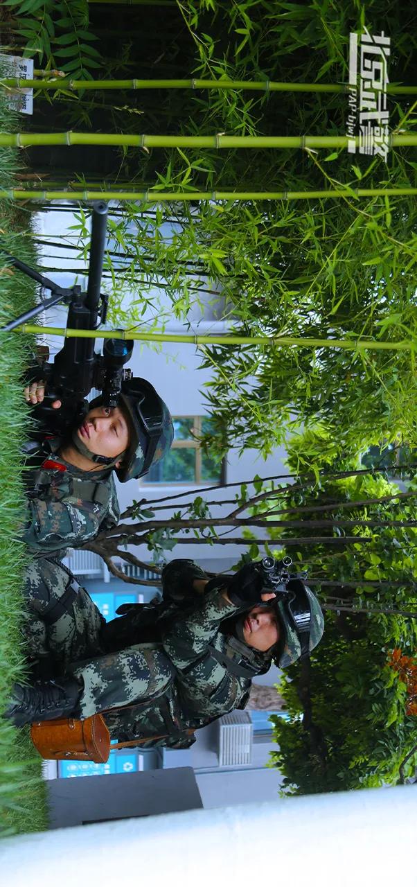 pap武警 pap武警代表什么意思