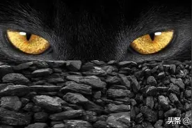 三季度净利增6262% 年初1月涨2倍的“黑猫”能再香？新目标价来了图片