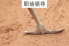 能把领导整倒的5个办法图片