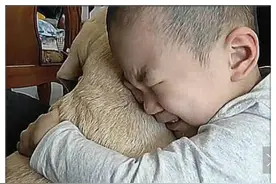 狗狗走丢两天，在狗狗回到家后，担忧许久的孩子抱着狗狗失声痛哭图片