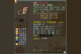 大话西游2玩家花万元打造“极品”去疾！技能栏很花哨图片