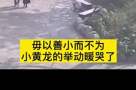 这就是游乐园人偶存在的意义吧！图片