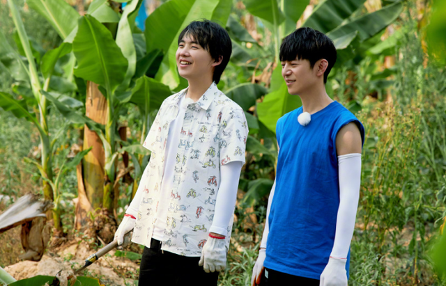 陶虹当着"前夫"面,吐槽徐峥,为综艺也是拼了(何炅陶虹爱的证明) - 冷