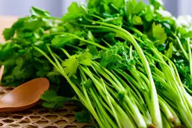 致命诱惑还是恐怖故事，这取决于你吃不吃香菜！图片