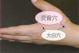 中医健康养生之人体手部穴位灵骨穴图片